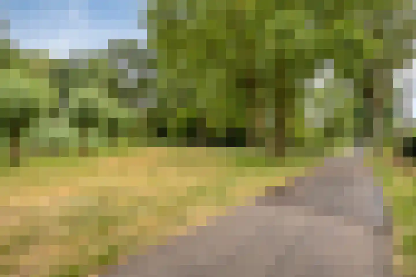 De Wipstaart 2 Almelo thumbnail 34