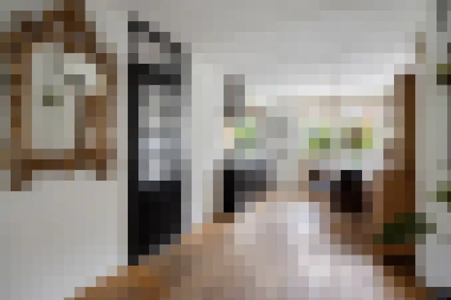 De Wipstaart 2 Almelo thumbnail 8