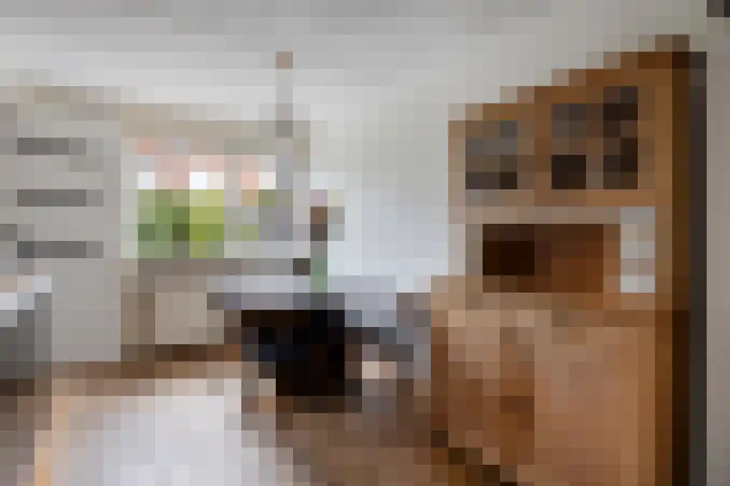 De Wipstaart 2 Almelo thumbnail 9