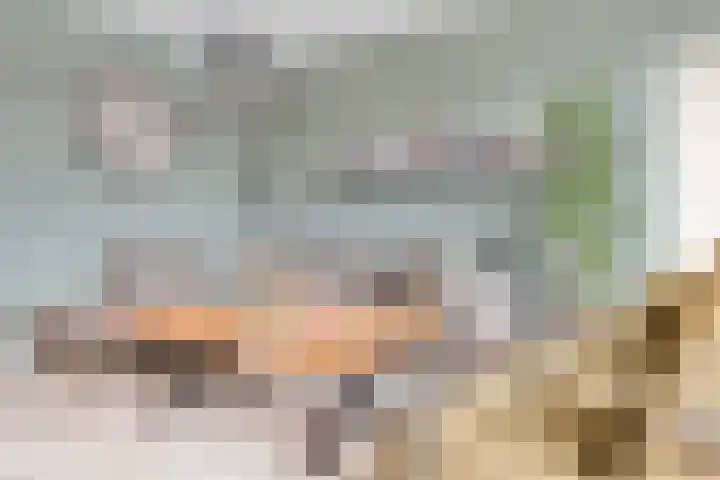 De Wisboom 5 Heesch thumbnail 10
