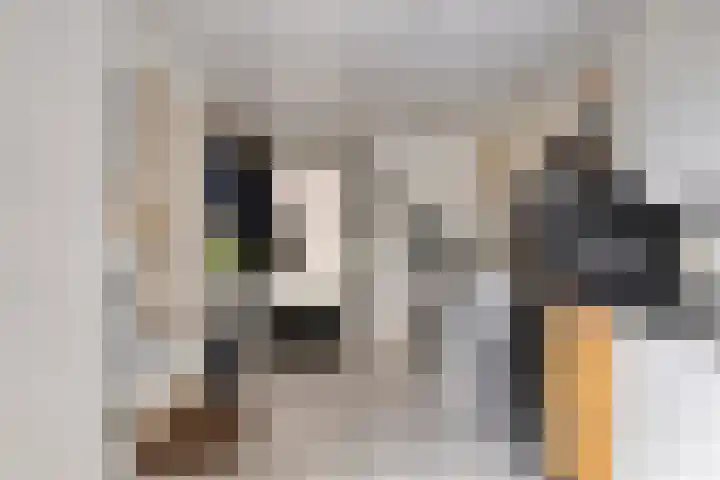 De Wisboom 5 Heesch thumbnail 19