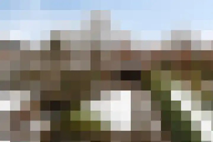 De Wisboom 5 Heesch foto 2