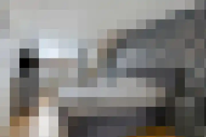 De Wisboom 5 Heesch thumbnail 20