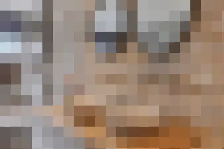 De Wisboom 5 Heesch thumbnail 25