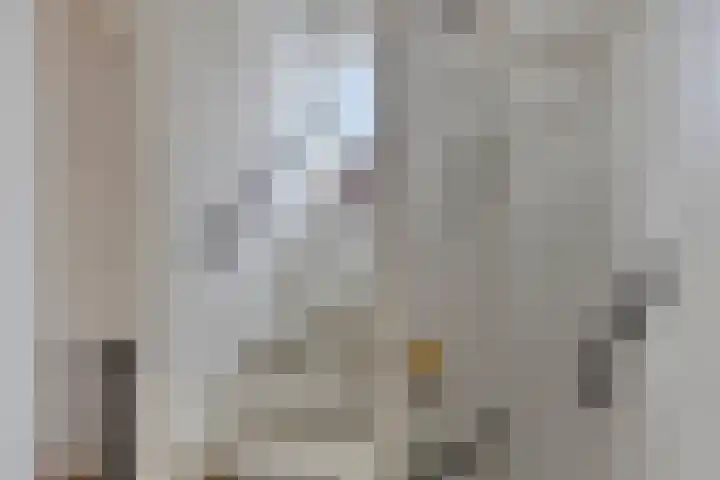 De Wisboom 5 Heesch thumbnail 28