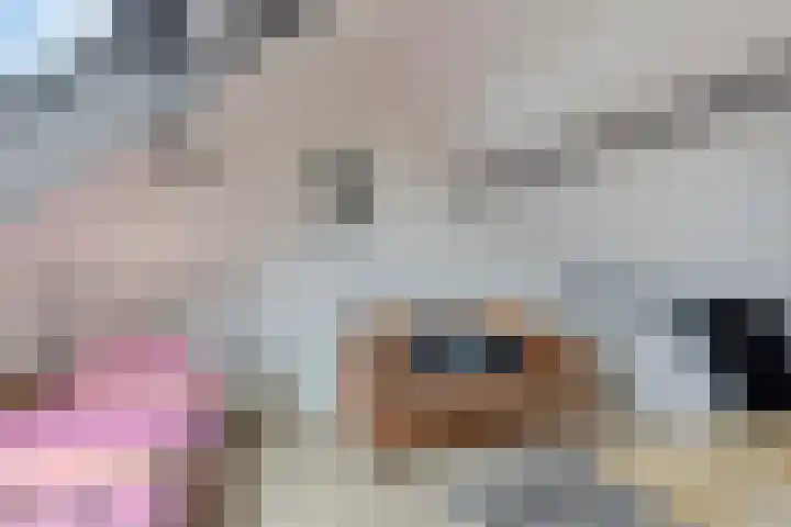 De Wisboom 5 Heesch thumbnail 29