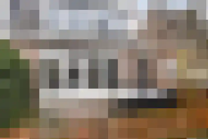 De Wisboom 5 Heesch thumbnail 32