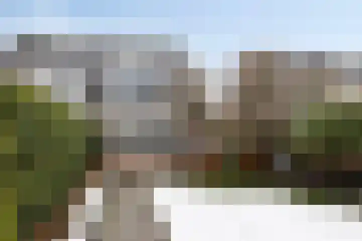 De Wisboom 5 Heesch thumbnail 33