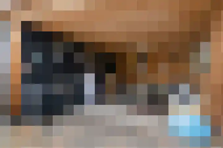 De Wisboom 5 Heesch thumbnail 36