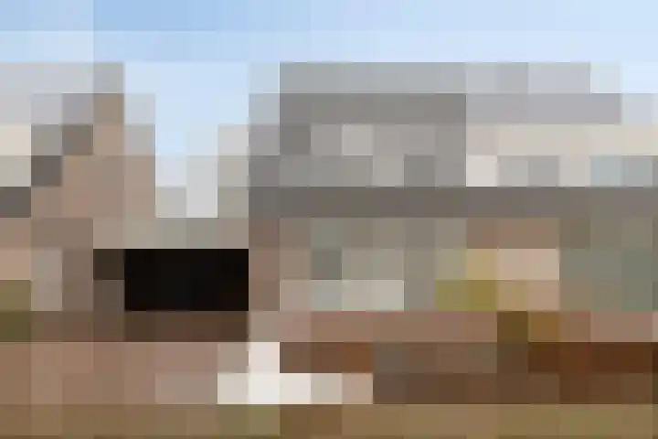 De Wisboom 5 Heesch thumbnail 39
