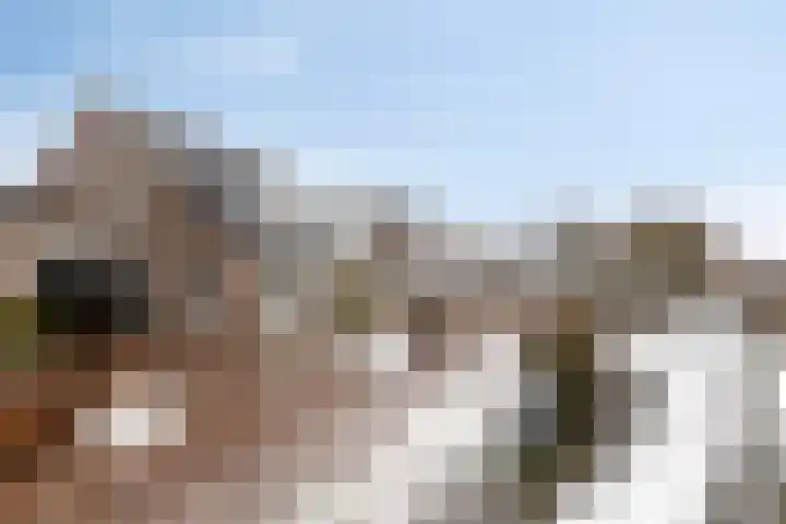 De Wisboom 5 Heesch thumbnail 40