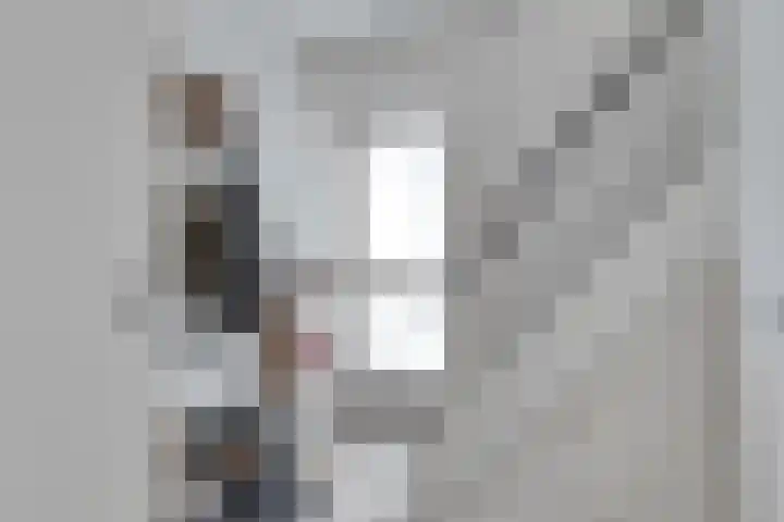 De Wisboom 5 Heesch thumbnail 5