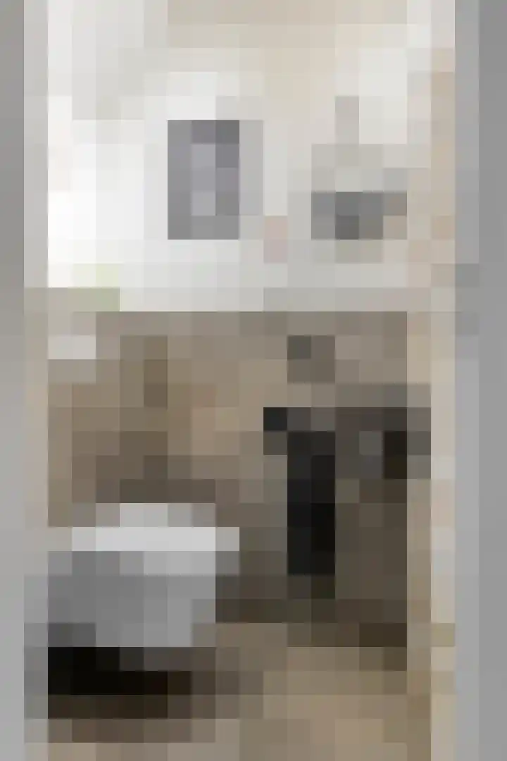 De Wisboom 5 Heesch thumbnail 7