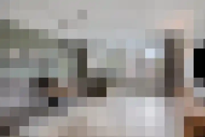 De Wisboom 5 Heesch thumbnail 8