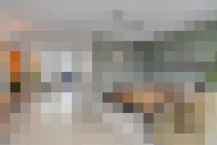 De Wisboom 5 Heesch thumbnail 9