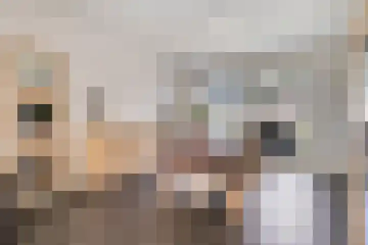 De Wisboom 8 Geffen thumbnail 11