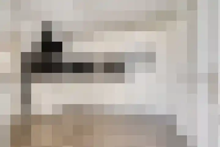 De Wisboom 8 Geffen thumbnail 13