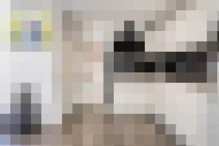 De Wisboom 8 Geffen thumbnail 14