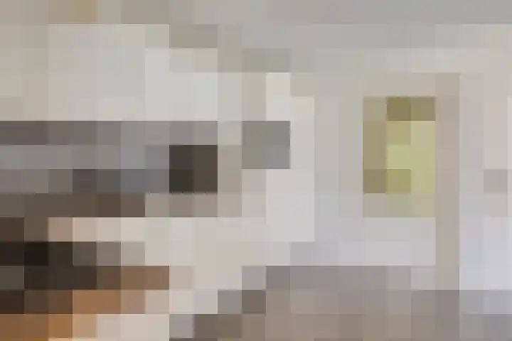 De Wisboom 8 Geffen thumbnail 15
