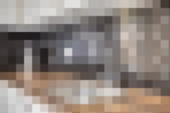 De Wisboom 8 Geffen thumbnail 16