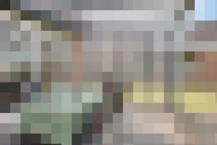 De Wisboom 8 Geffen thumbnail 19