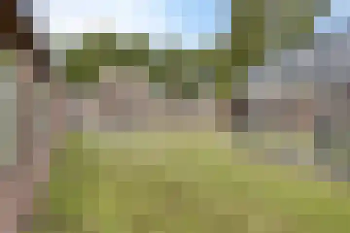 De Wisboom 8 Geffen thumbnail 38