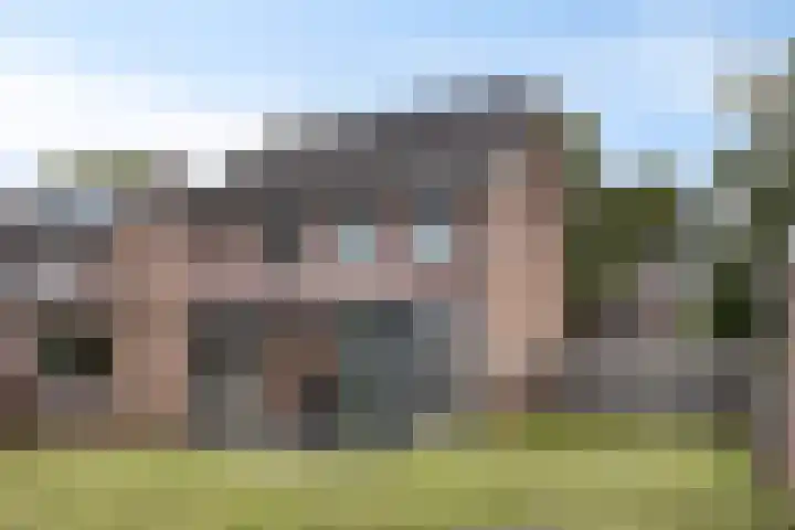 De Wisboom 8 Geffen thumbnail 39
