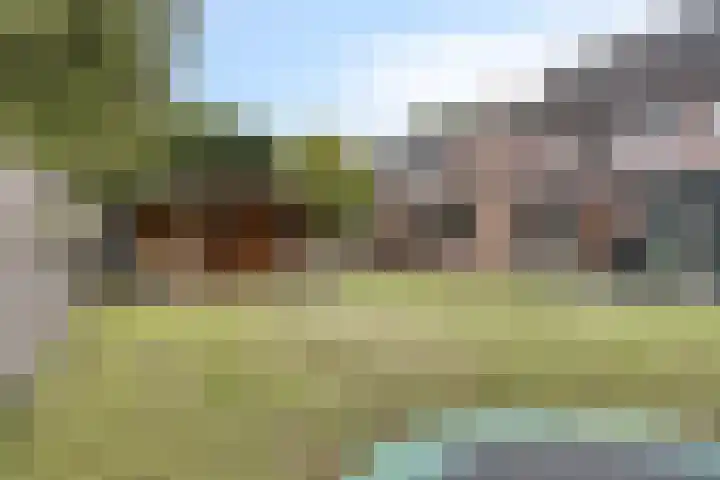 De Wisboom 8 Geffen thumbnail 40