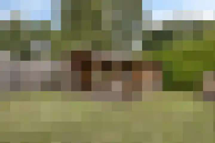 De Wisboom 8 Geffen thumbnail 42