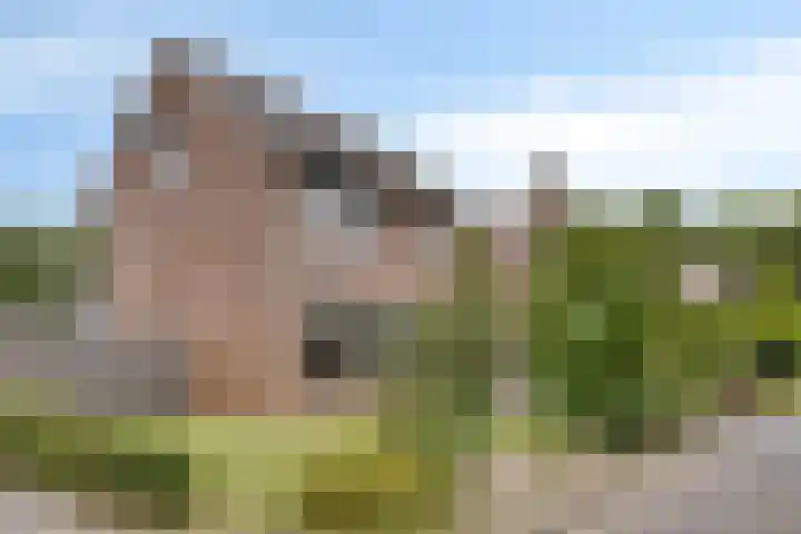 De Wisboom 8 Geffen thumbnail 43