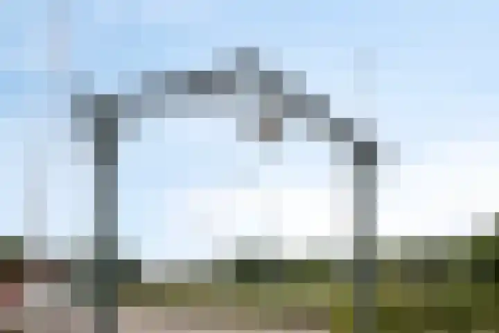 De Wisboom 8 Geffen thumbnail 46