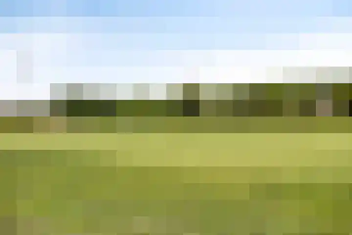 De Wisboom 8 Geffen thumbnail 47
