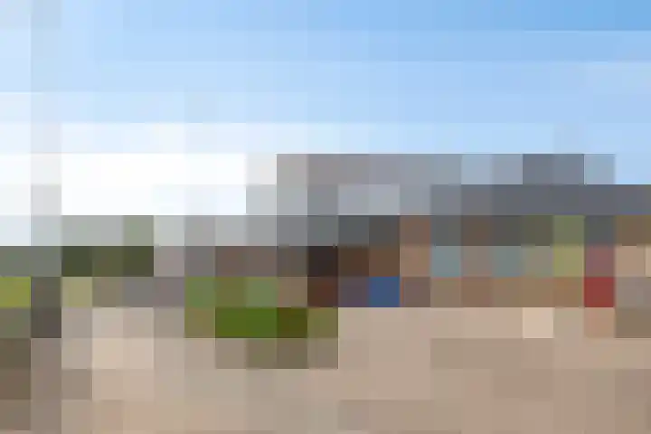 De Wisboom 8 Geffen thumbnail 48