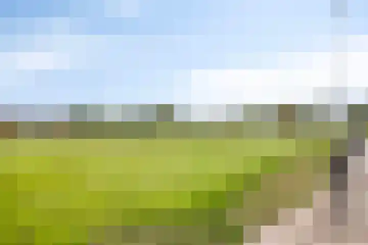 De Wisboom 8 Geffen thumbnail 49