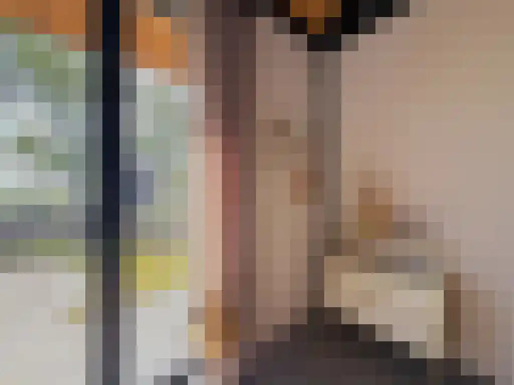 De Wiske 2 Achlum thumbnail 4
