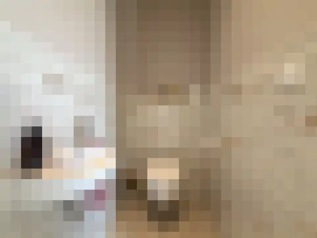 De Wiske 2 Achlum thumbnail 5