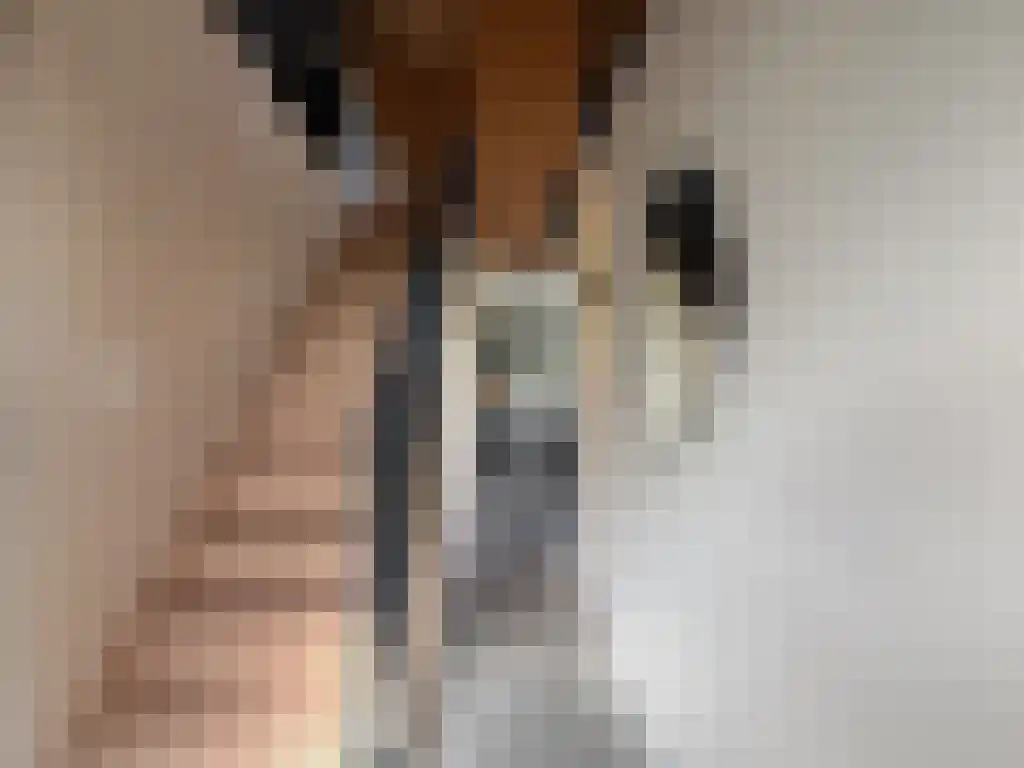 De Wiske 2 Achlum thumbnail 6