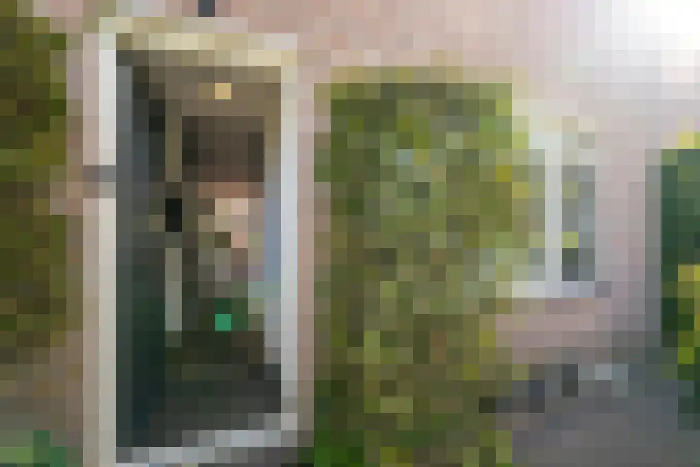 de Withlaan 42 Baarn thumbnail 8