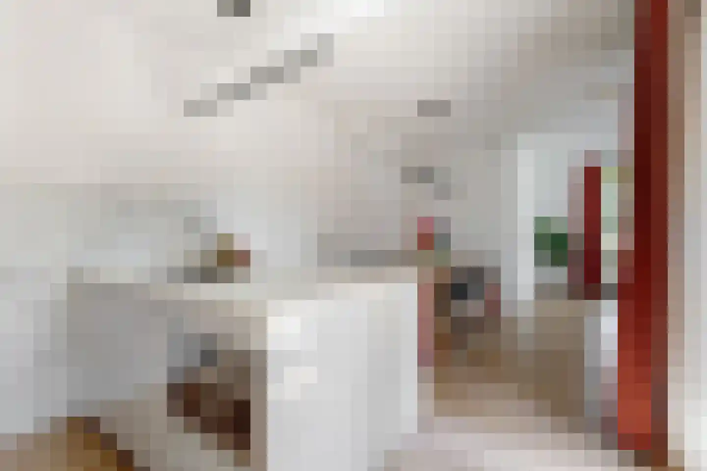 de Witstraat 2 Beverwijk thumbnail 12