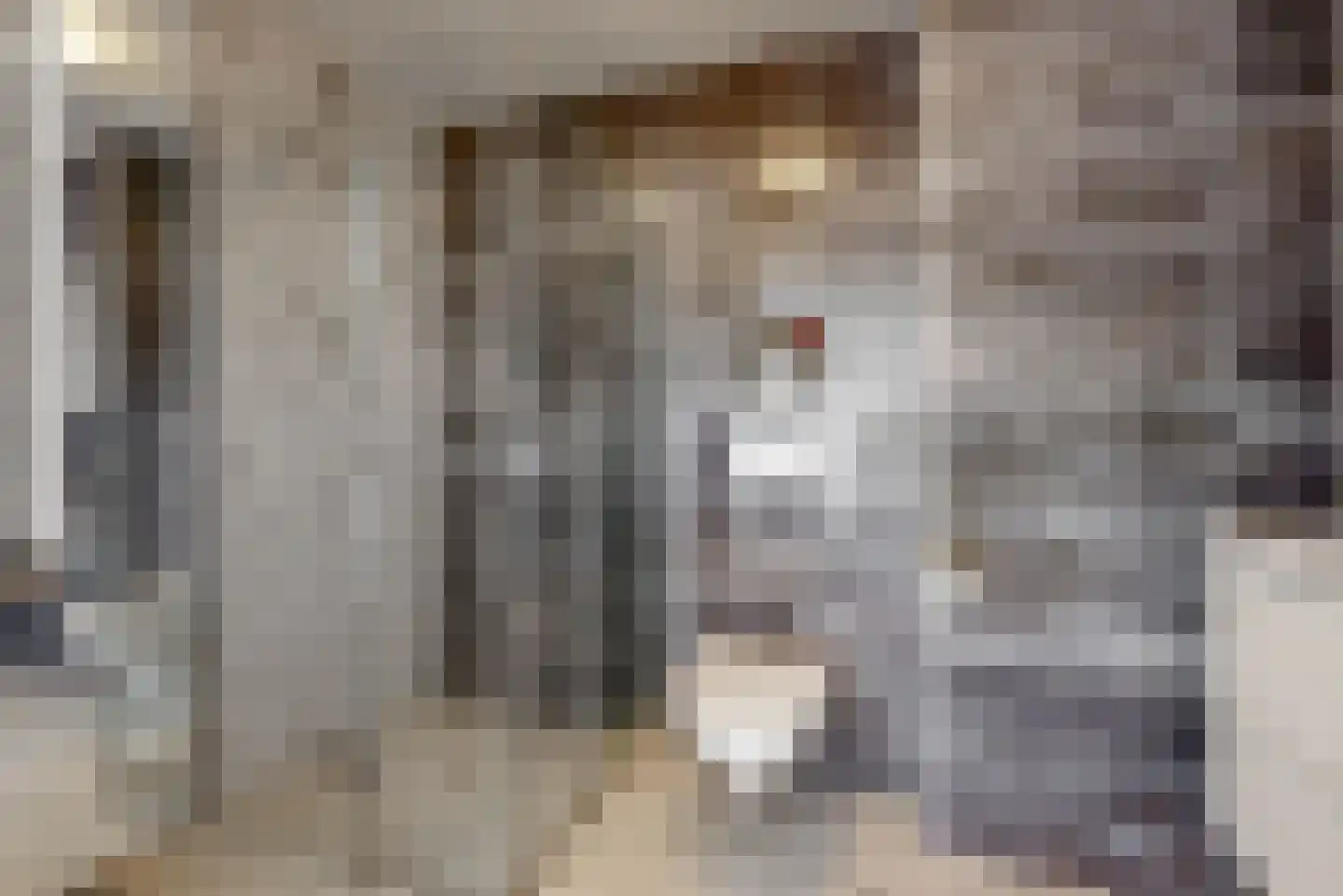 de Witstraat 2 Beverwijk thumbnail 22