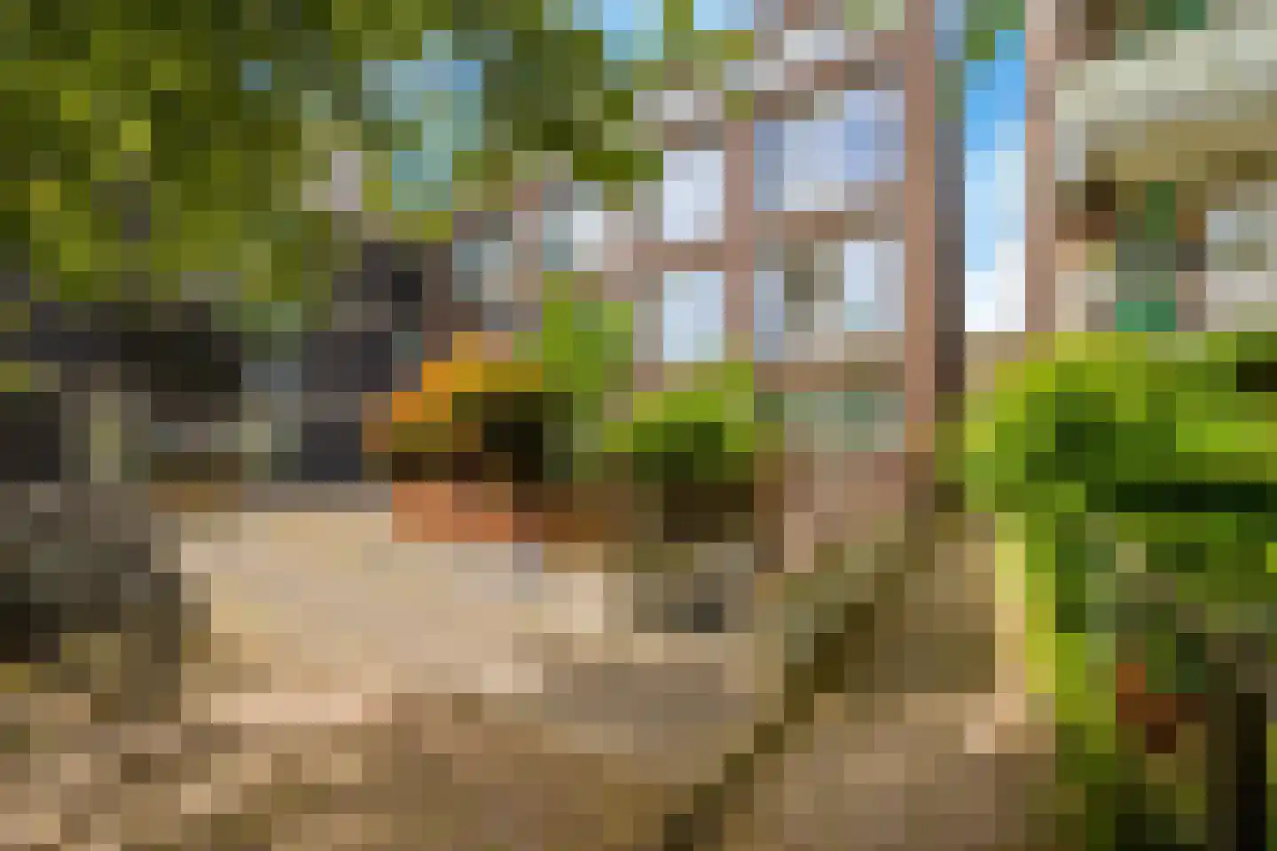 De Witstraat 39 Haarlem thumbnail 23