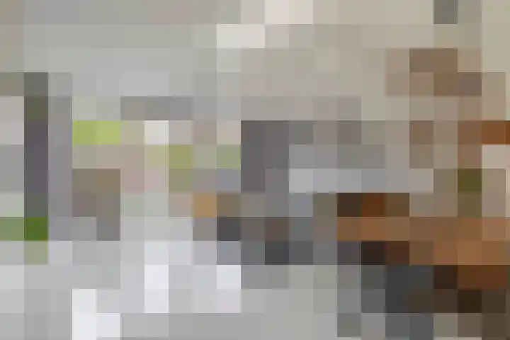 De Witstraat 41 Haarlem foto 2