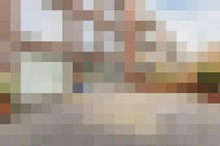 De Witstraat 41 Haarlem thumbnail 29