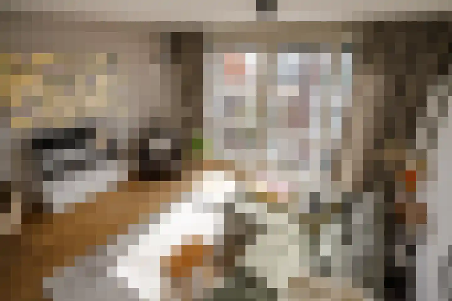 De Witstraat 53 Haarlem thumbnail 17