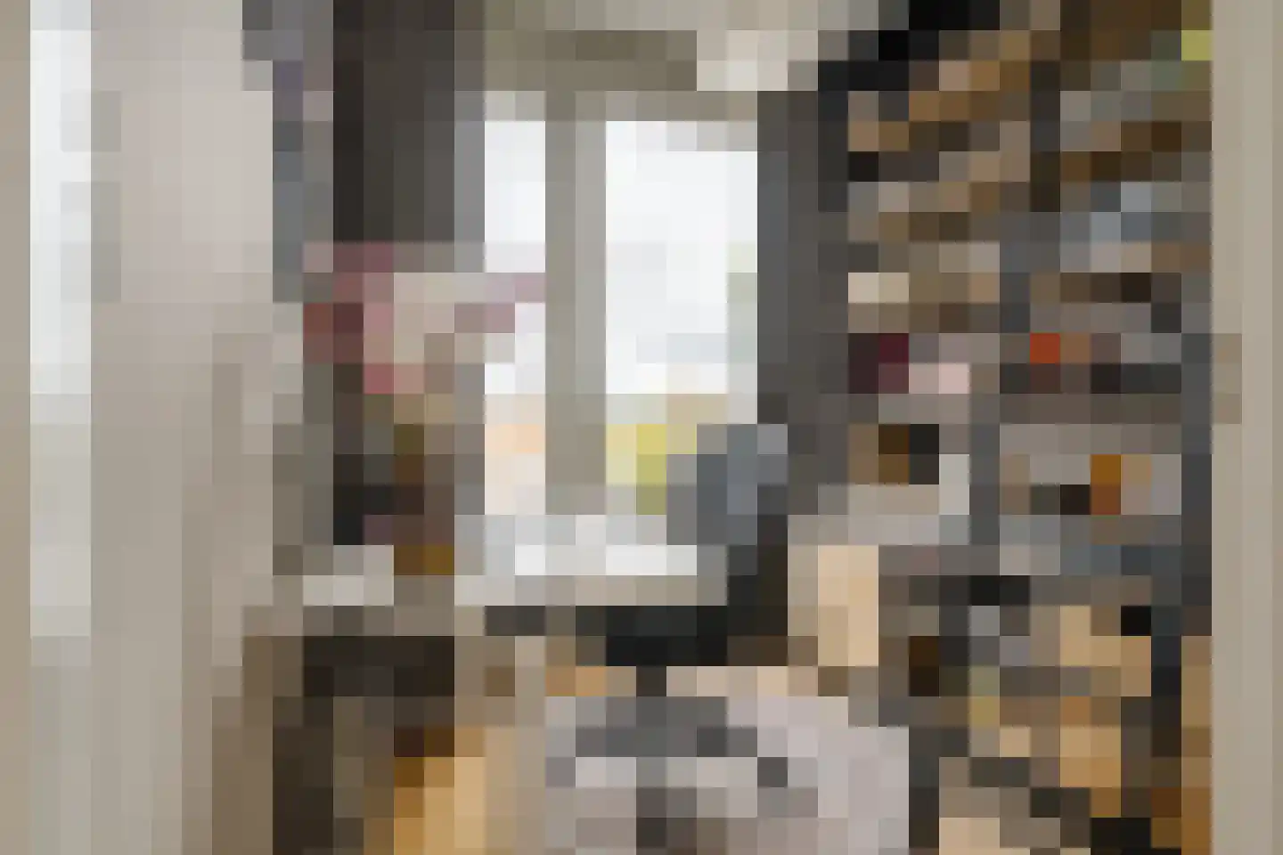 De Witstraat 53 Haarlem thumbnail 33
