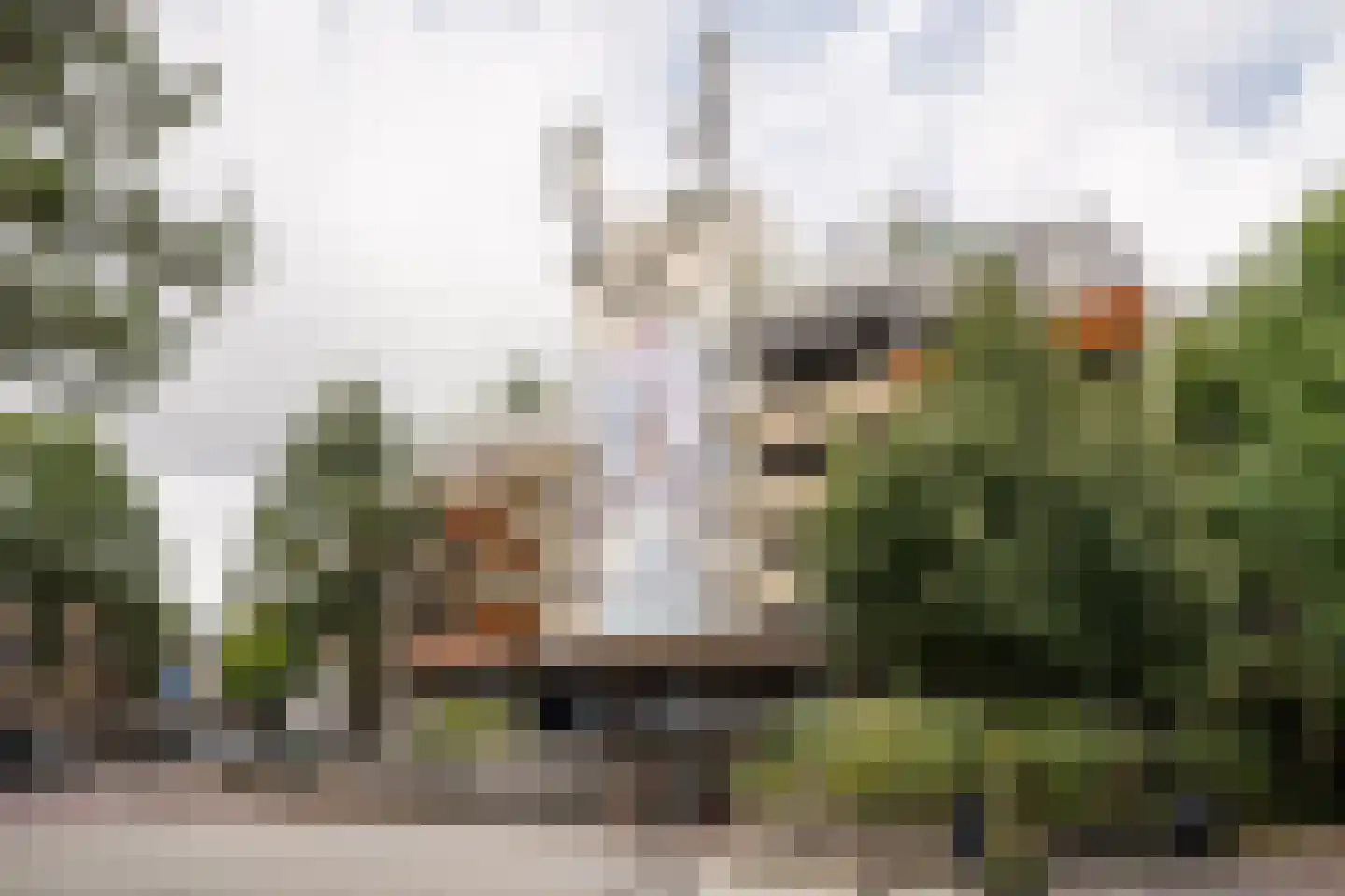 De Witstraat 53 Haarlem thumbnail 44