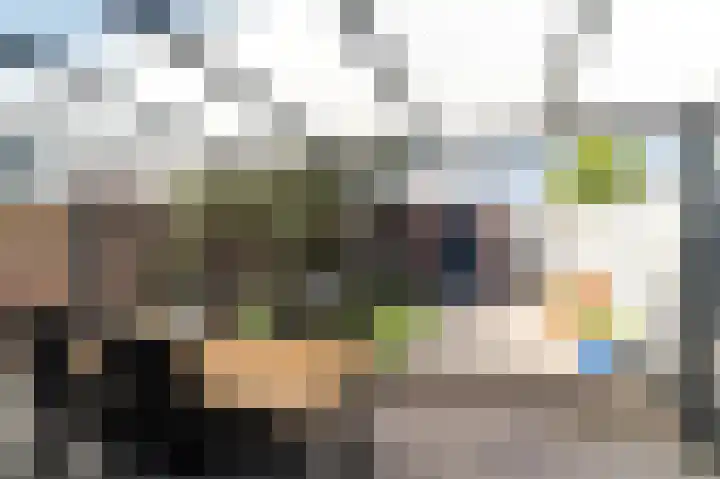 De Witstraat 6 Veldhoven thumbnail 33