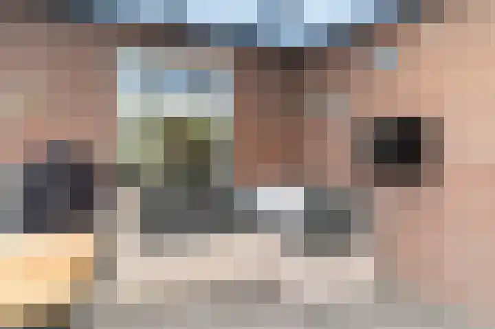 De Witstraat 6 Veldhoven thumbnail 35