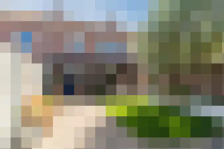 De Witstraat 6 Veldhoven thumbnail 39