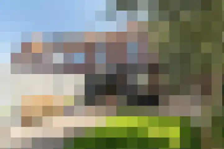 De Witstraat 6 Veldhoven thumbnail 40